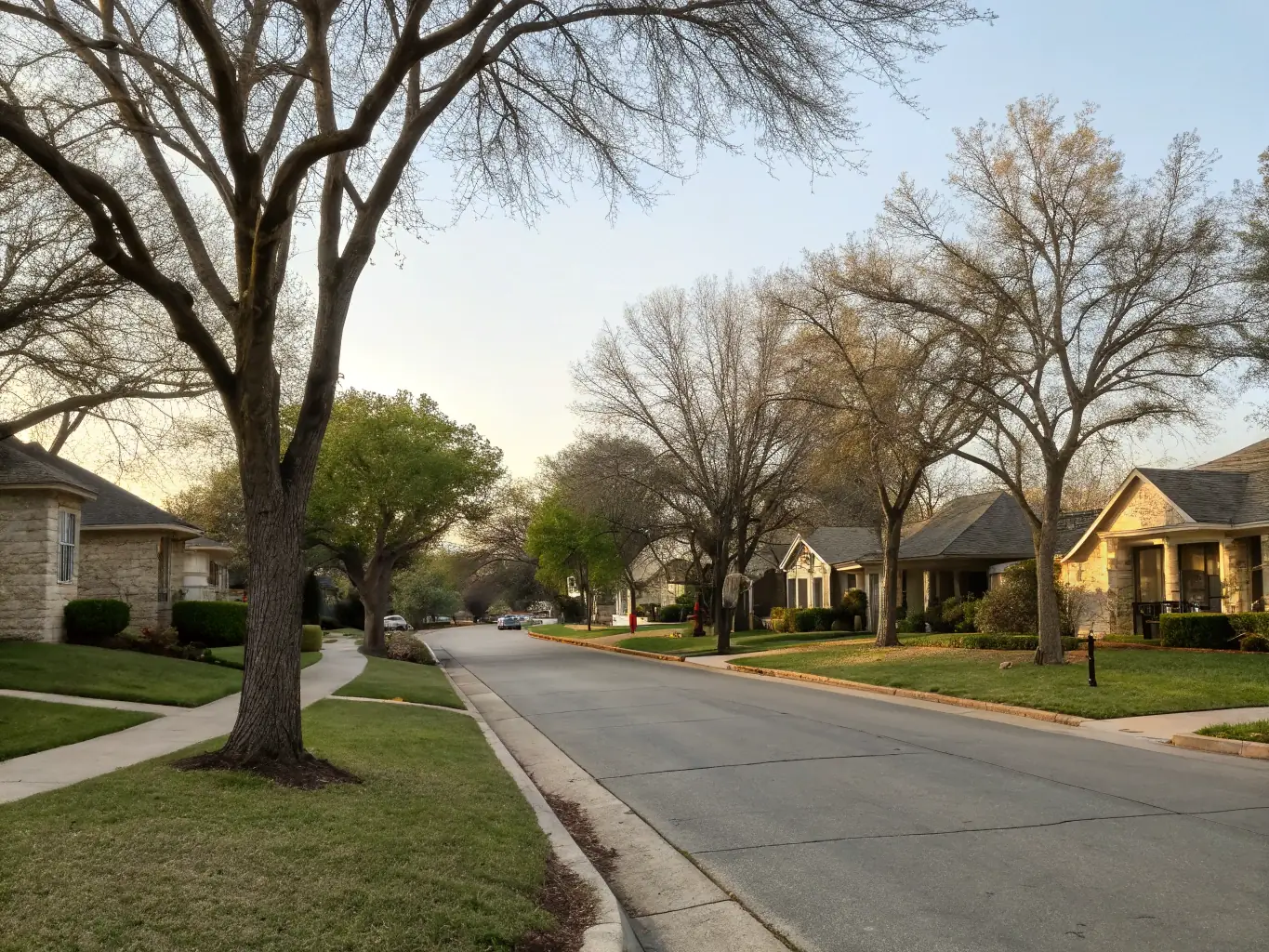 A quiet residential street in Plano, Texas, with well-manicured lawns and modern homes, reflecting the upscale community served by M&M Garage Doors.